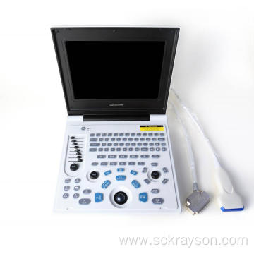 Laptop Ultrasound For Persian Cat Bladder